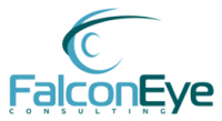 falcon_eye_logo